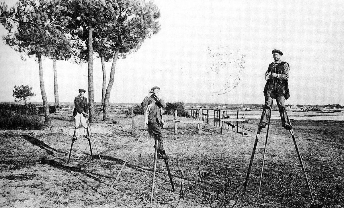 Echassiers landais au XIXème siècle